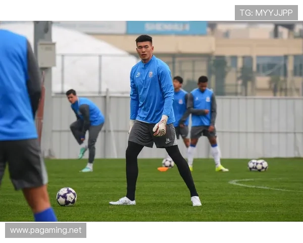 金顺凯与艾迪迎申花奥特曼携手年轻人能否逆袭救援大考验