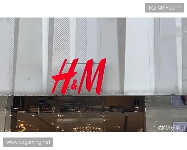 乐天娱乐全面解析：从创立历程到未来发展趋势探讨